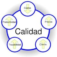 Calidad I
